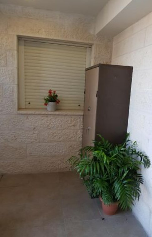 Screenshot-2024-02-13-114627